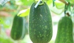 热门大瓜有哪些,揭秘明星幕后故事