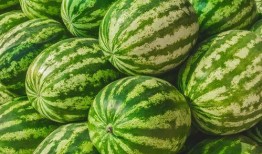 吃瓜网官网免费观看 热门大瓜,热门大瓜一网打尽