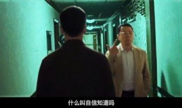 吃瓜大赛 潜伏1无删减完整版夸克,潜伏1无删减完整版，揭秘幕后真相与惊心动魄的较量