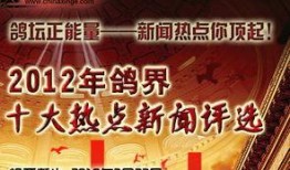 今日十大热点新闻