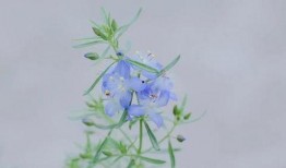 有哪些潜规则是中国人共识的,中国人共识中的隐性规则解析