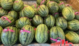 黑料不打样 吃瓜网官网免费观看,吃瓜网官网免费观看，独家爆料尽在掌握！